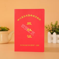 鑲℃潈璇佷功瀹氬仛